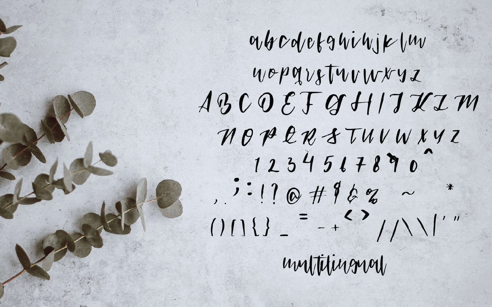Download Шрифт "Johnson Camelia Font" / Johnson Camelia Font - Шрифт на тему графика beauty,beauty script font,female,feminine,font for beauty,font for invitation,font for logo,font for signature,font for wedding,font for woman,handwriting,handwritten font,handwritten script,