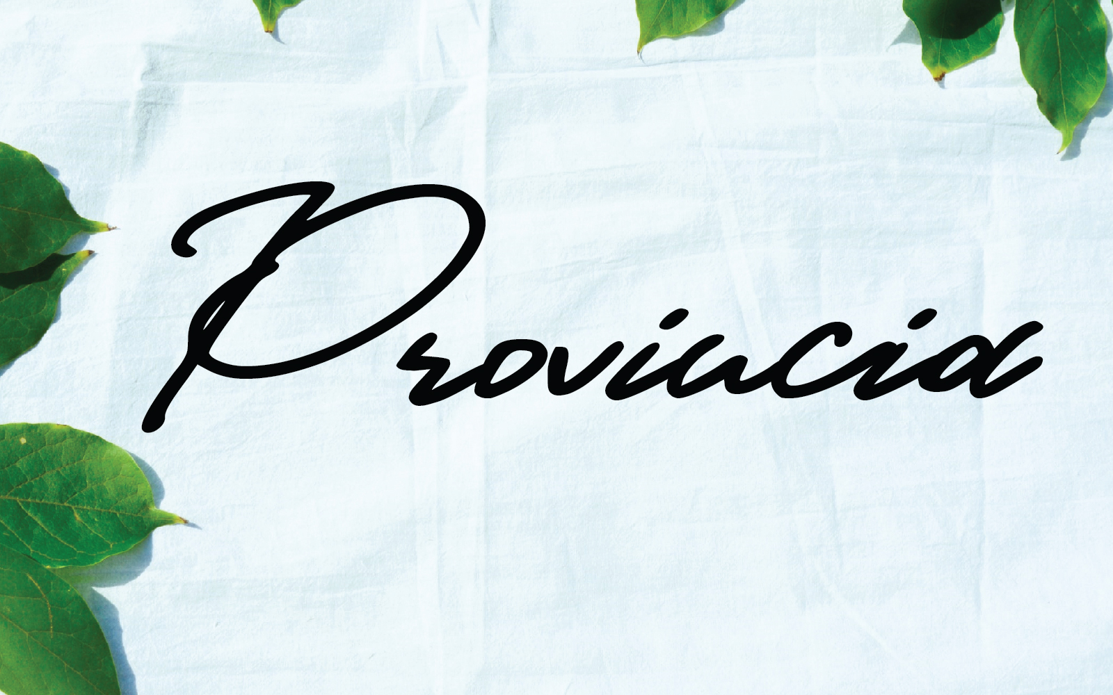 Download Шрифт "Provincia Font" / Provincia Font - Шрифт на тему графика beauty,beauty script font,female,feminine,font for beauty,font for invitation,font for logo,font for signature,font for wedding,font for woman,handwriting,handwritten font,handwritten script,