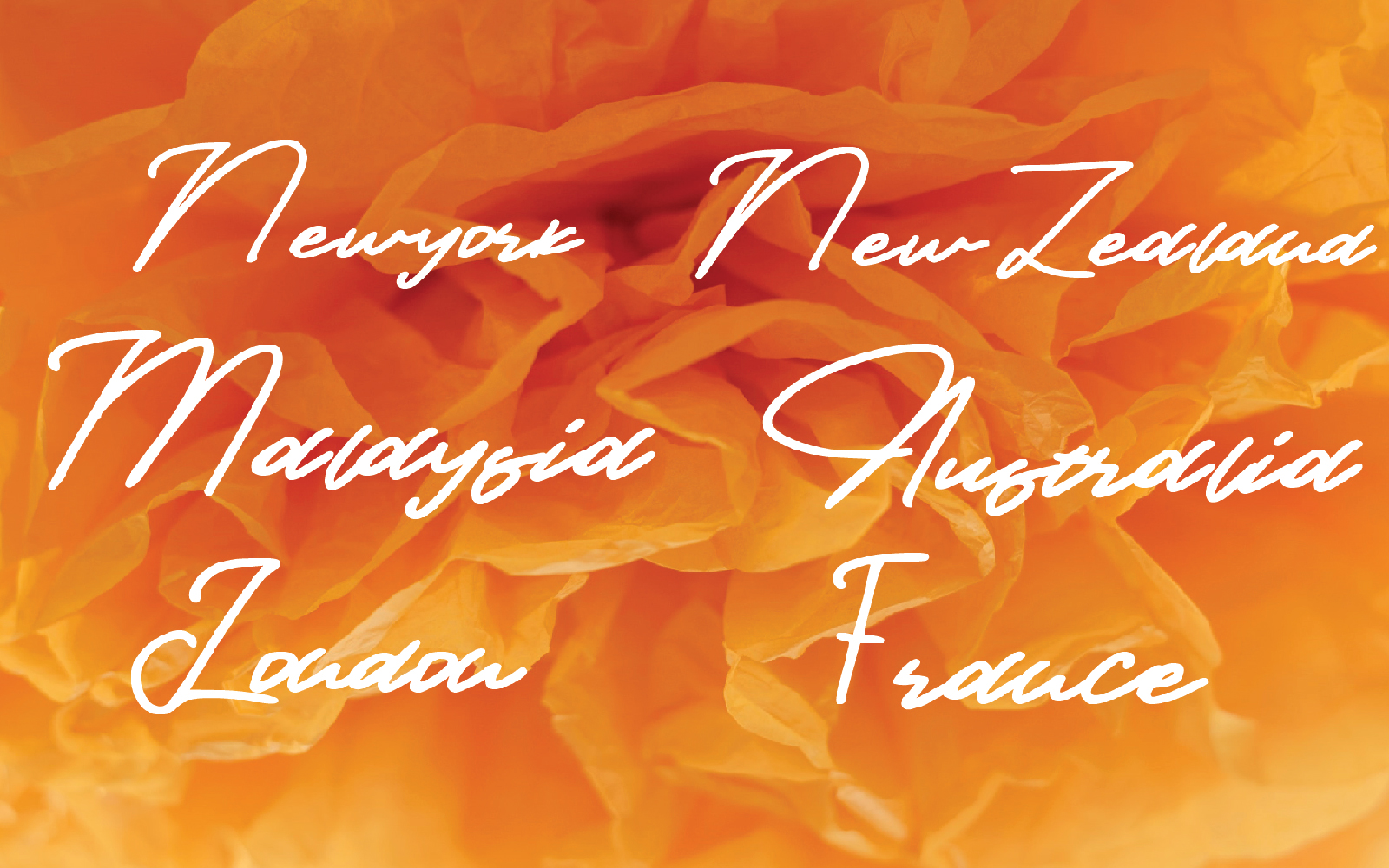 Download Шрифт "Provincia Font" / Provincia Font - Шрифт на тему графика beauty,beauty script font,female,feminine,font for beauty,font for invitation,font for logo,font for signature,font for wedding,font for woman,handwriting,handwritten font,handwritten script,