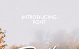 Rotters Schriftart Theme Kleiner Screenshot Schriftart namens "Rotters"