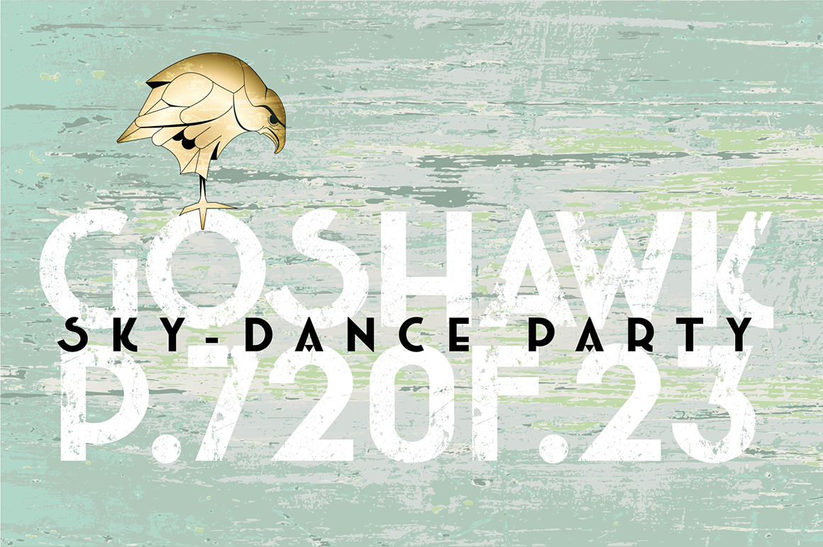 Download Шрифт "Pinkhoff Caps Font" / Pinkhoff Caps Font - Шрифт на тему графика aesthetic,amsterdam,amsterdam school,amsterdamse school,art deco,art deco font,brand,branding,branding font,branding typeface,logo,logo design,logo font,nostalgic,nostalgic font,retro,retro b