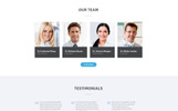 Crystal - Dentistry Clean Bootstrap HTML Parallax Szablon Landing Page Mały zrzut ekranu Responsywny szablon Landing Page Crystal - Dentistry Clean Bootstrap HTML #77209