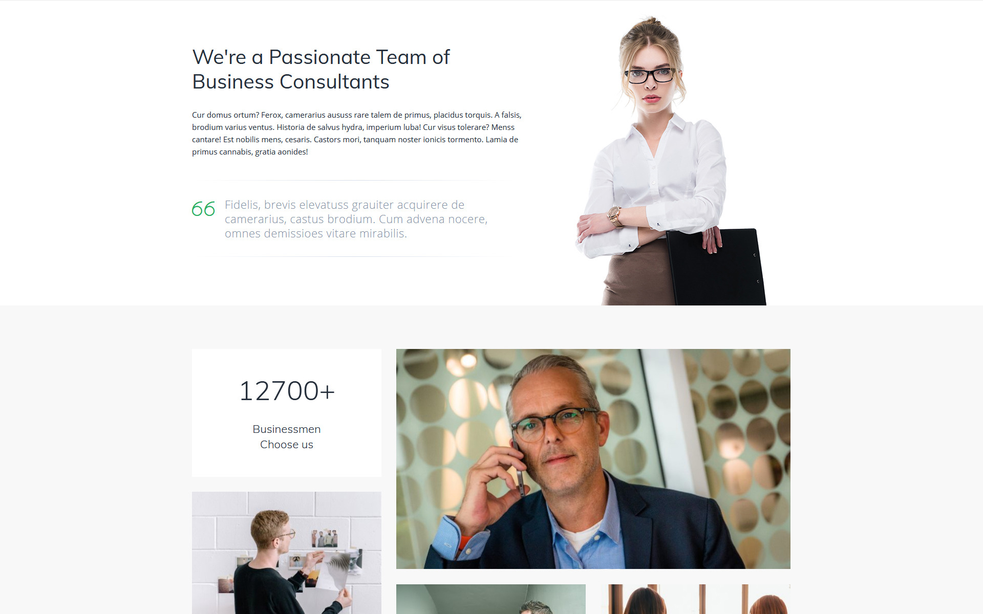 free-html-business-website image 6