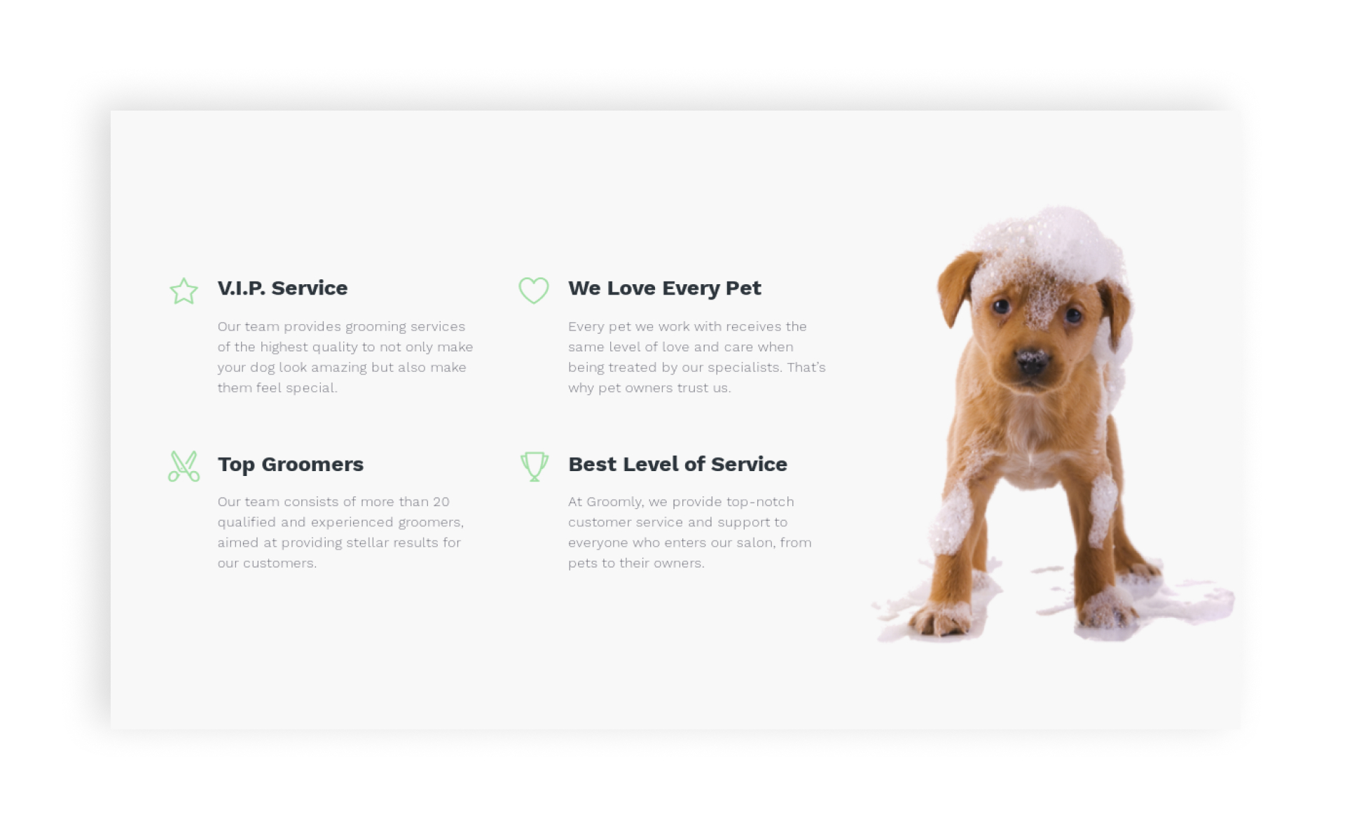 Dog Grooming HTML Website Template for Pet Groomers and Vets - Novi