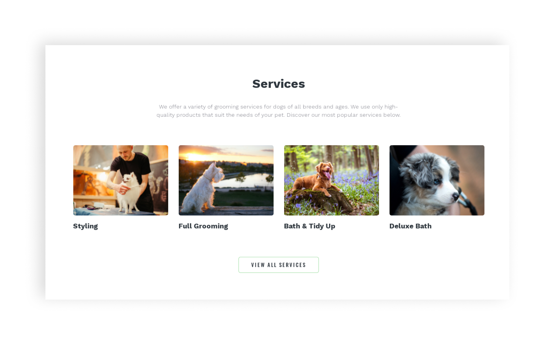 dog-grooming-html-website-template image 3
