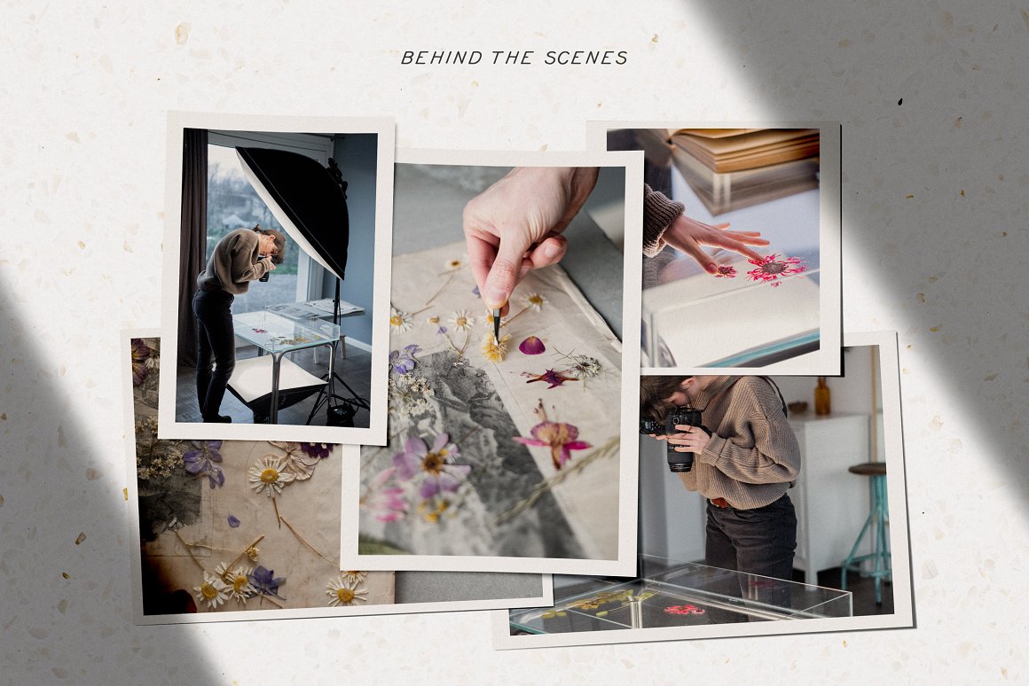 Download Мокап для продукта "Pressed Dry Flowers & Herbs Vol.1 product mockup" / Pressed Dry Flowers & Herbs Vol.1 product mockup - Мокап для продукта на тему графика fliwers,botanic,nature,png,plants,pattern,floreal,composition,background,dried,pressed,herbal,sketchbook,dry,decorative,social,media,instagram,canva