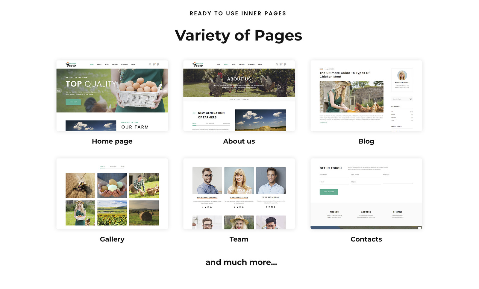 Chicken Good Poultry Farm Multipage HTML Website Template