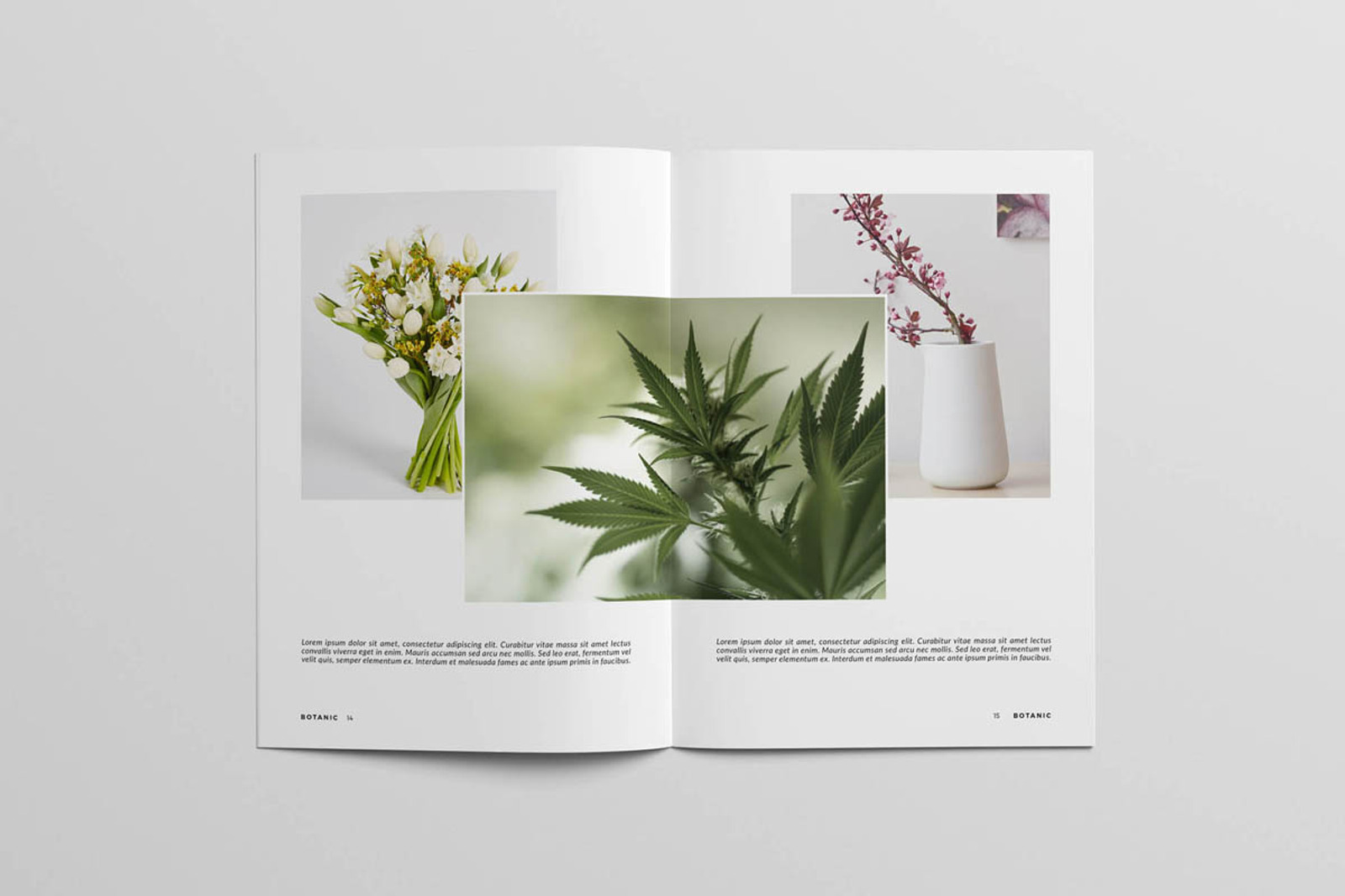 Botanic Magazine Template #109766 - TemplateMonster