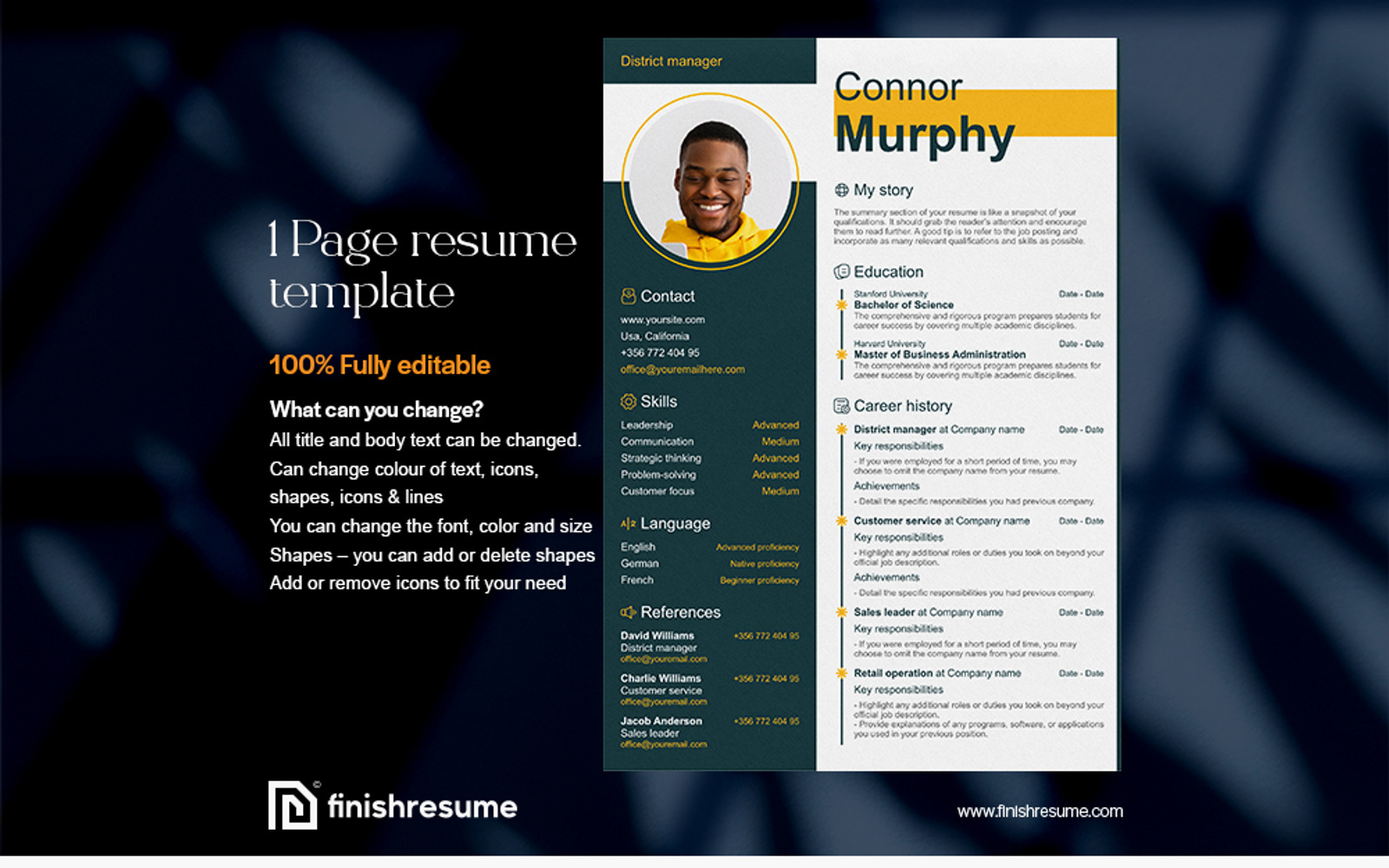 District manager resume template Finish Resume District manager resume template Finish Resume