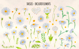 60 Watercolor Daisy Painted Graphics Illustration Template Small Screenshot 60 Watercolor Daisy Painted Graphics Illustration