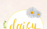 60 Watercolor Daisy Painted Graphics Illustration Template Small Screenshot 60 Watercolor Daisy Painted Graphics Illustration