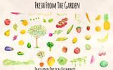 46 Hand Painted Fruits and Vegetable Illustration Theme Small Screenshot 46 Hand Painted Fruits and Vegetable Illustration