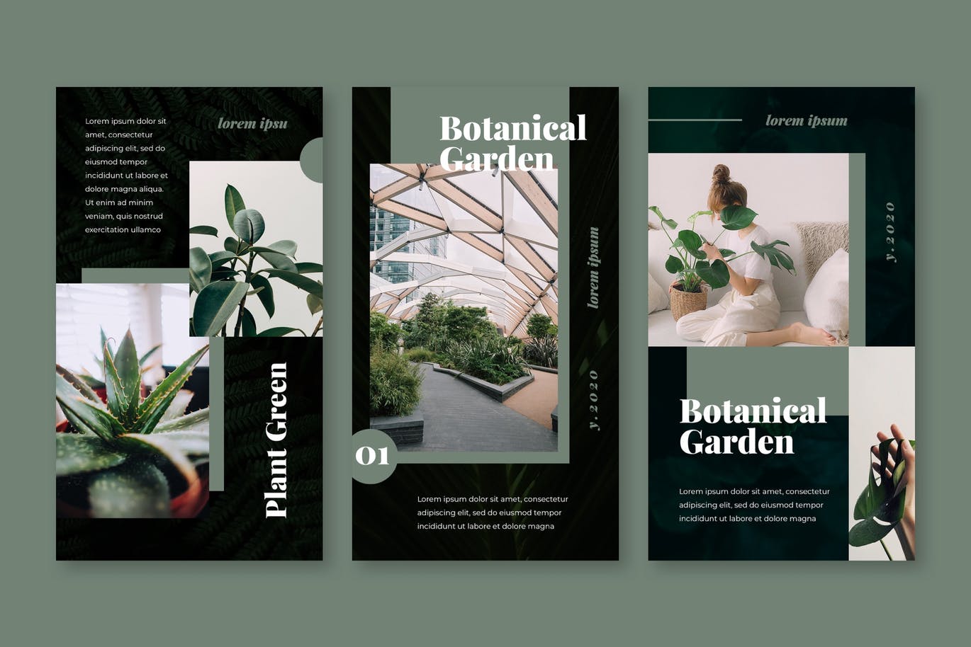 Download Шаблон для соцсетей "Botanical Garden Instagram Stories Template for Social Media" / Botanical Garden Instagram Stories Template for Social Media - Шаблон для соцсетей на тему графика instagram,story,stories,fashion,promotion,elegant,beauty,modern,psd,shop,company,corporate,photoshop