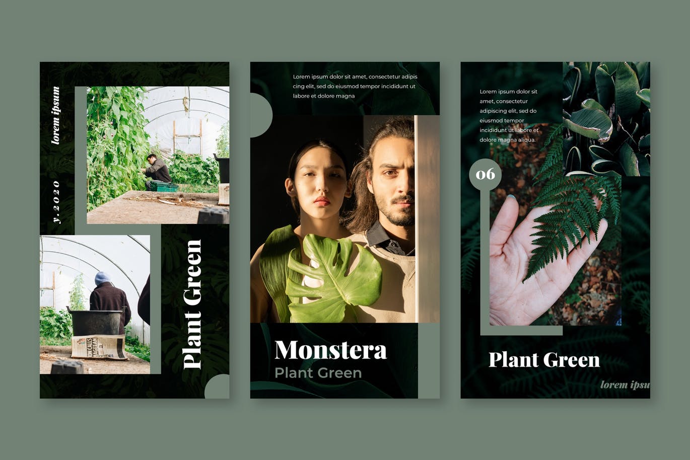 Download Шаблон для соцсетей "Botanical Garden Instagram Stories Template for Social Media" / Botanical Garden Instagram Stories Template for Social Media - Шаблон для соцсетей на тему графика instagram,story,stories,fashion,promotion,elegant,beauty,modern,psd,shop,company,corporate,photoshop