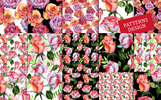 Wonderful Roses PNG Watercolor Flower Set Illustration Template Small Screenshot Wonderful Roses PNG Watercolor Flower Set Illustration