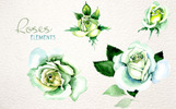 White Rose Watercolor PNG Flower Set Ілюстрація шаблон Маленький скріншот "White Rose Watercolor PNG Flower Set" - Ілюстрація