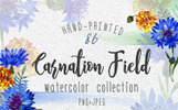 Carnation field PNG watercolor set Illustration Template Small Screenshot Carnation field PNG watercolor set Illustration