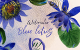 Blue Lotus PNG Watercolor Set Illustration Template Small Screenshot Blue Lotus PNG Watercolor Set Illustration