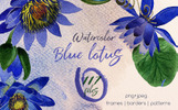 Blue Lotus PNG Watercolor Set Illustration Template Small Screenshot Blue Lotus PNG Watercolor Set Illustration