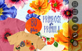 Primrose Or Primula Flowers - PNG Watercolor Illustration Template Small Screenshot Primrose Or Primula Flowers - PNG Watercolor Illustration
