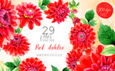 Beautiful Red Dahlia PNG Watercolor Set Illustration Template Small Screenshot Beautiful Red Dahlia PNG Watercolor Set Illustration