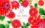 Beautiful Red Dahlia PNG Watercolor Set Illustration Template Small Screenshot Beautiful Red Dahlia PNG Watercolor Set Illustration