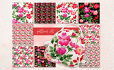 Rosa Arkansana PNG Watercolor Set Creative Illustration Theme Small Screenshot Rosa Arkansana PNG Watercolor Set Creative Illustration