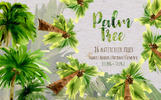 Palm Tree PNG Watercolor Set Illustration Theme Small Screenshot Palm Tree PNG Watercolor Set Illustration