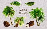 Palm Tree PNG Watercolor Set Illustration Theme Small Screenshot Palm Tree PNG Watercolor Set Illustration