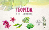 Tropical Leaves Collection PNG Watercolor Set Illustration Theme Small Screenshot Tropical Leaves Collection PNG Watercolor Set Illustration