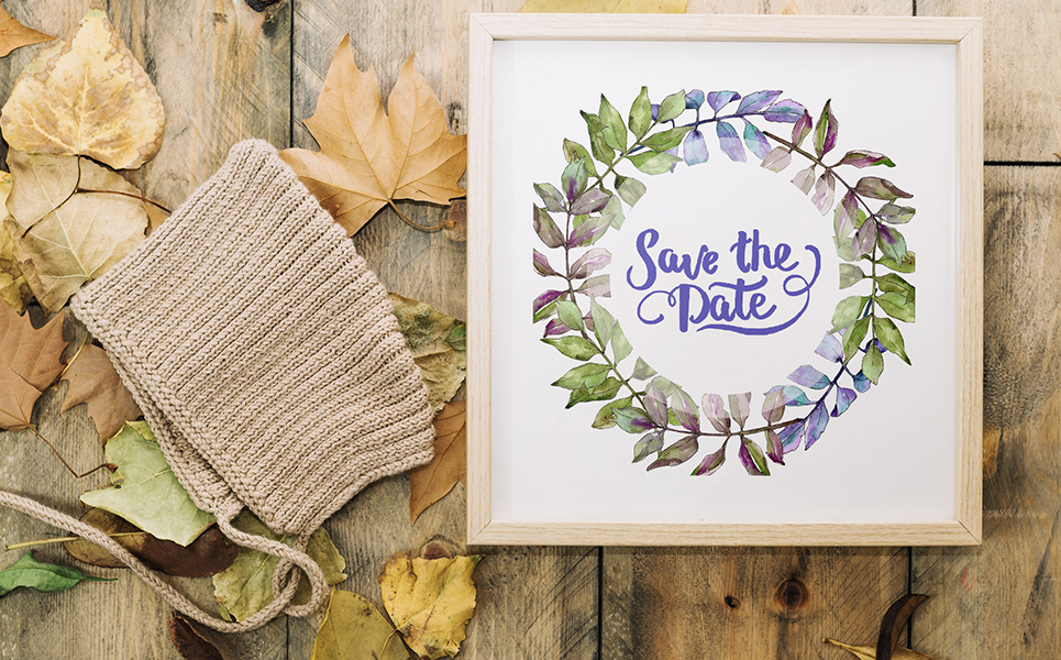 Ash Leaves PNG Watercolor Set Illustration Template Small Screenshot Ash Leaves PNG Watercolor Set Illustration