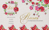 Rose Red Magic Watercolor Png illustration En liten skärmdump Rose Red Magic Watercolor Png Illustration