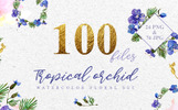 Tropical orchid Watercolor png illustration En liten skärmdump Tropical orchid Watercolor png Illustration