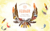 Feather Watercolor Png Ilustrace motiv Malý screenshot Ilustrace "Feather Watercolor Png"