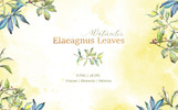 Elaeagnus Leaves Watercolor Png Illustration Theme Small Screenshot Elaeagnus Leaves Watercolor Png Illustration