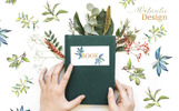 Elaeagnus Leaves Watercolor Png Illustration Theme Small Screenshot Elaeagnus Leaves Watercolor Png Illustration