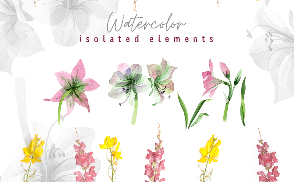 Pink Amaryllis Watercolor Png Illustration Theme Small Screenshot Pink Amaryllis Watercolor Png Illustration