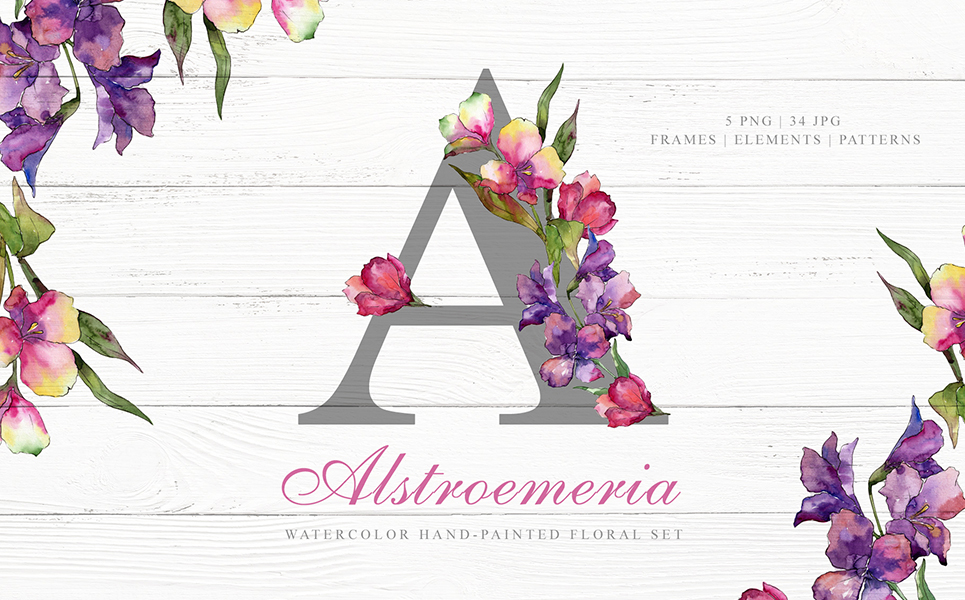Alstroemeria Watercolor Png Illustration Template Small Screenshot Alstroemeria Watercolor Png Illustration