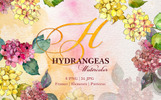 Hydrangeas Yellow-Pink Watercolor png Illustration Theme Small Screenshot Hydrangeas Yellow-Pink Watercolor png Illustration