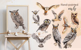 Owl Watercolor png Illustration Theme Small Screenshot Owl Watercolor png Illustration