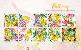 Floral Design Collection Watercolor Png Illustration Template Small Screenshot Floral Design Collection Watercolor Png Illustration