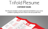 Trifold Resume Template Small Screenshot Trifold Resume Template