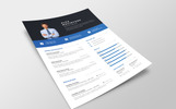 Alex Macintosh Professional Resume Template Small Screenshot Alex Macintosh Professional Resume Template