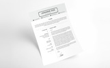 Karanf Doe Clean Resume Theme Small Screenshot Karanf Doe Clean Resume Template