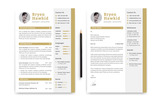 Bryen Hawkid Designer/Developer Resume Theme Small Screenshot Bryen Hawkid Designer/Developer Resume Template