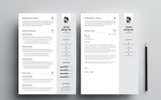 Clean & Professional Premium Thème de CV Petite capture d'écran "Clean & Professional" modèle de CV
