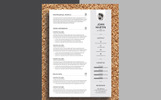 Clean & Professional Premium Thème de CV Petite capture d'écran "Clean & Professional" modèle de CV