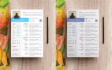 Micheral Burch Resume Theme Small Screenshot Micheral Burch Resume Template