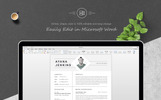 Ayana Premium Template Modelo de Currículo Screenshot Pequeno Ayana Modelo de Currículo №82367