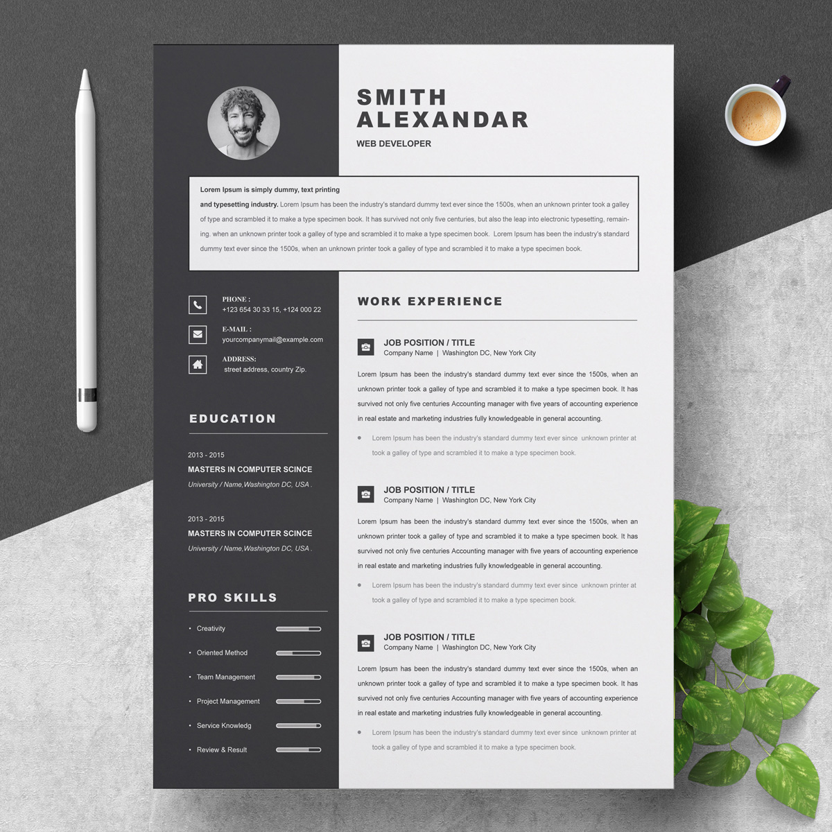 https://s3u.tmimgcdn.com/1860567-1573313193486_01_Resume%20Template.jpg